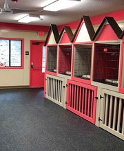 Fido Fido Dog Daycare & Boarding image 10