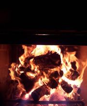 Klipp´s Wasserwelt Bild 20