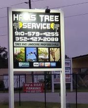 Hall's Tree Service image 11