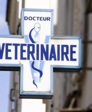 Mahgoun Samia image 1