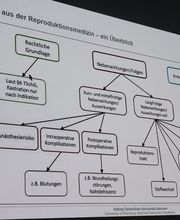 Tierarztpraxis Ullmann Bild 14