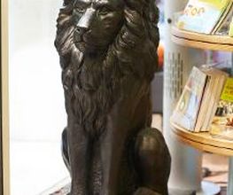 Apotheke zum Löwen Bild 19