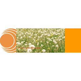 Praxis am Brunnen - Naturheilpraxis im Rheinthal