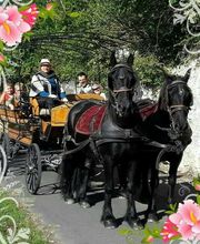 Le Haras De Muralis image 4