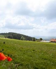 Pension Jodlbauer Bild 14