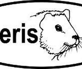 Meeris GmbH Bild 10