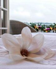 Villa Beauté Bild 13