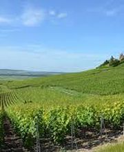 Clarck Patrick image 2