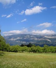 Taulier Immobilier image 5