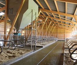 A. Riget Holzbau AG Bild 2