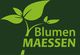 Blumen Maessen