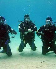 DIVE SECTOR Bild 1