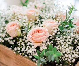 Les Petites Fleurs Modèles image 10