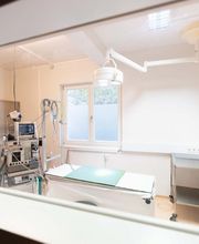 Tierarzt Möhnle Kehl, Fachtierärztliches Zentrum für Kleintiere Kehl-Hanauerland Bild 10