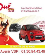 Voiture Sans Permis image 11