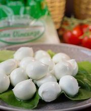 Gallery Professionale