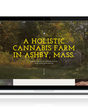 Rodeo Creative (formerly Parrot Digital) image 8