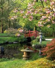 Becot Paysagiste image 1