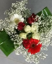 Audrey Fleurs image 18