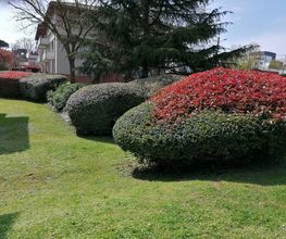 Brin De Nature image 2