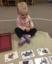 Great Start Montessori School image 3