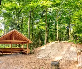 FriedWald Cloppenburg Bild 13