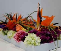 Fleuriste la Roseraie Nice Bild 6