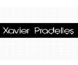 Pradelles Xavier image 2