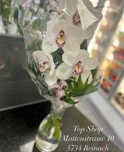 AGROLA TopShop Bild 4