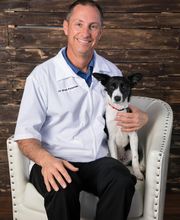 Petersen Pet Hospital image 2