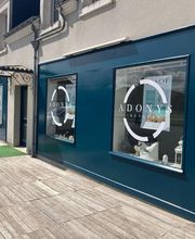 Adonys Institut image 4