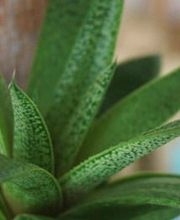 Physiobulle Sàrl Bild 9