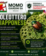 MOMO GIARDINI SA - GIARDINIERE LOCARNO, AFC / EFZ Bild 1
