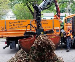 Urban Münchner Baumpflege GmbH Bild 5
