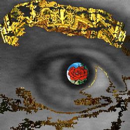 El volumen de una sombra