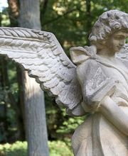 Bestattungsinstitut "Am Schöllberg" Bild 4