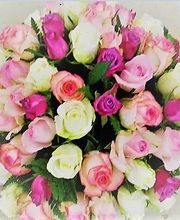 Périgny Garden image 2