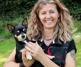 Hundeschule DOGS4LIFE.CH Bild 8