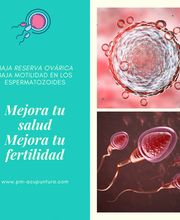 pm-acupuntura imagen 14