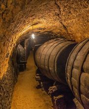 Fotokolg sl imagen 16