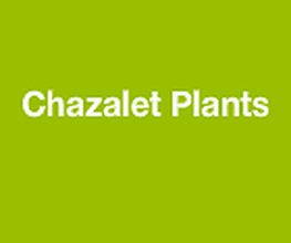 Chazalet Plants image 16