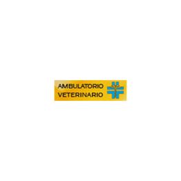 Ambulatorio Veterinario De Valerio Anita logo