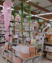 Centrakor Minihy-Tréguier image 8