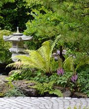 Schwanenland-Gala UG Bild 3