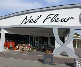 Nel Fleur image 15