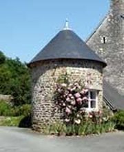 Etoile De La Mer image 4