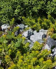 Art D'horizon image 19