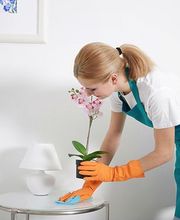 NETTOYAGE EXPRESS image 1