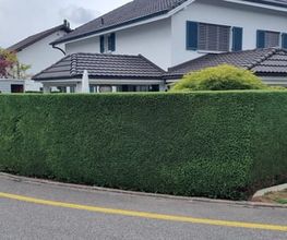 Gardenking GmbH Bild 2