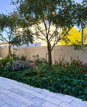 Schneebeli Blumen & Garten Bild 1